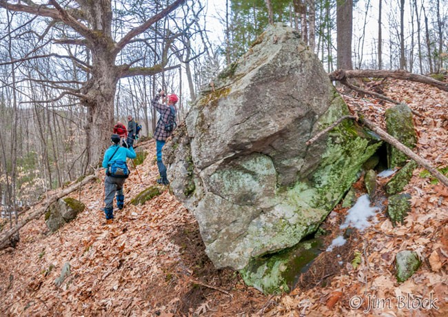 EH056--Approaching-huge-White-Oak