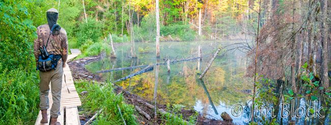 EI446--Len-crossing-boardwalk---Pan-(3)