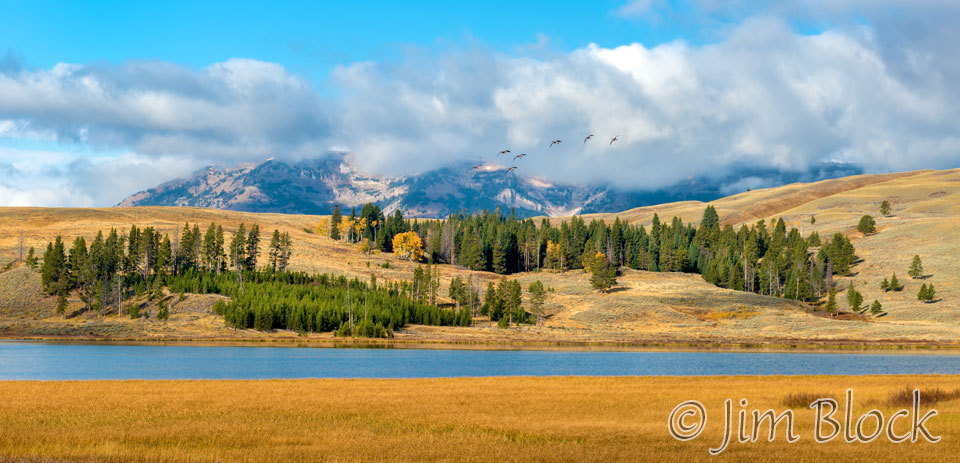 DX981I-Gallatin-Range,-Swan-Lake,-and-Canada-Geese