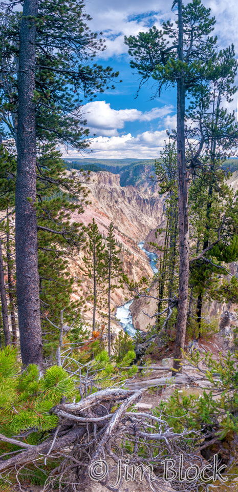 DY006--Grand-Canyon-of-the-Yellowstone-River---Pan-(7)