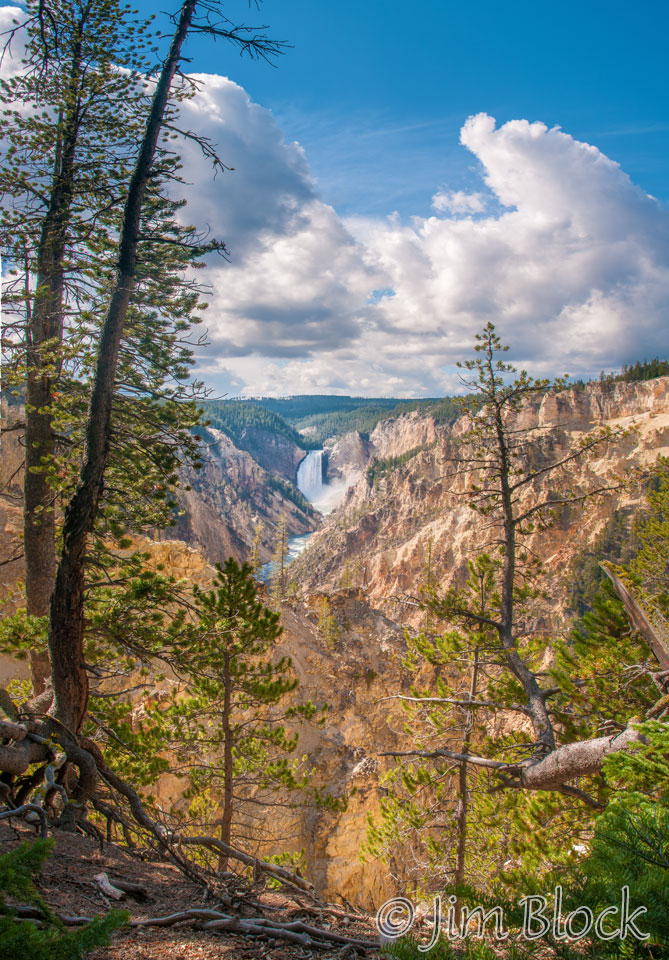 DY011--Lower-Falls-of-the-Yellowstone-River---crop