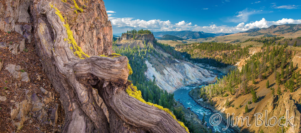 DY040--Old-Roots-and-River