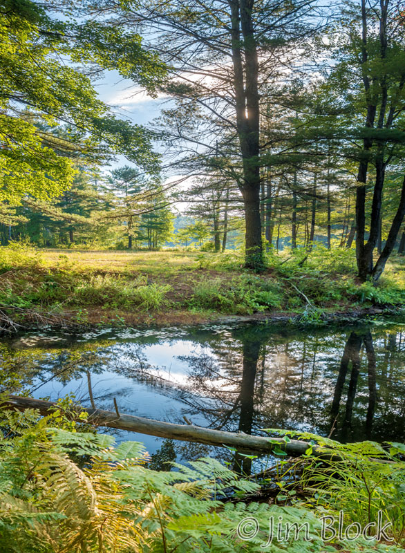 EJ094--Elm-Brook-Park-Nature-Trail---crop