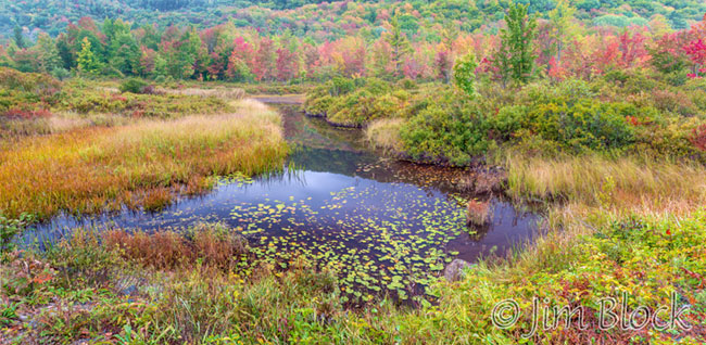 ej442-enfield-wma-pan-2