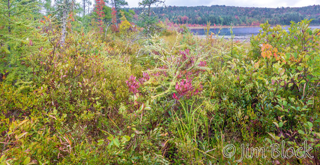 ej438-george-pond-wetland-pan-2