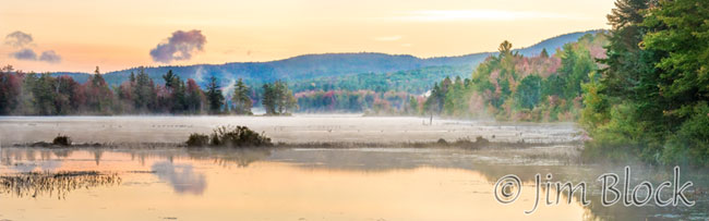 ej456-canada-geese-at-mcds-pan-4
