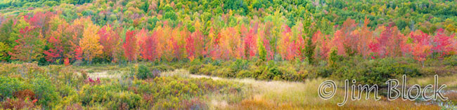 ej496-enfield-wma-pan-5