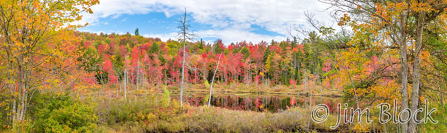 ej529-pond-in-springfield-pan-4