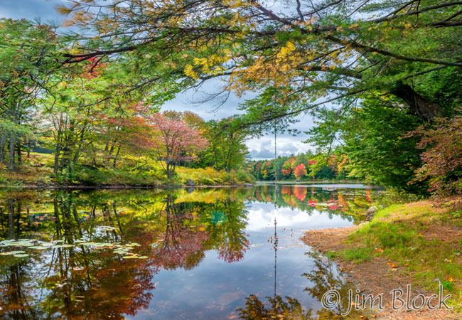 ej549-danbury-bog-crop