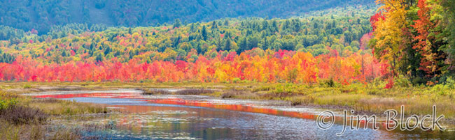 ej559-danbury-bog-pan-4