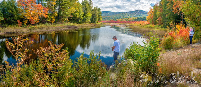 ej567-mckinnons-at-danbury-bog