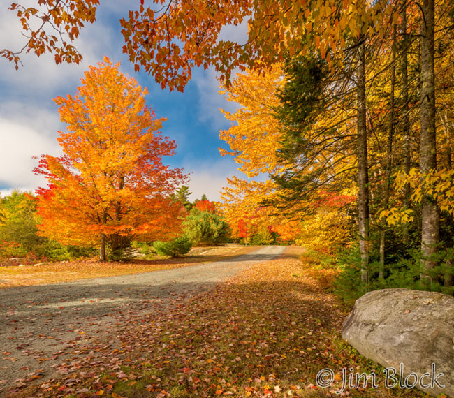 ej599-lester-drive-pan-2