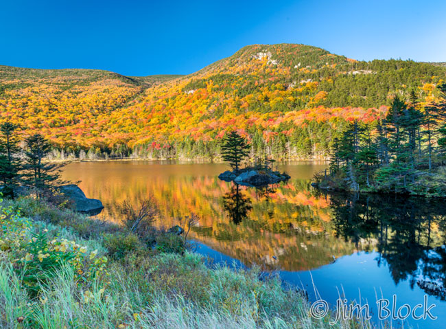 ej692abc-beaver-pond-crop
