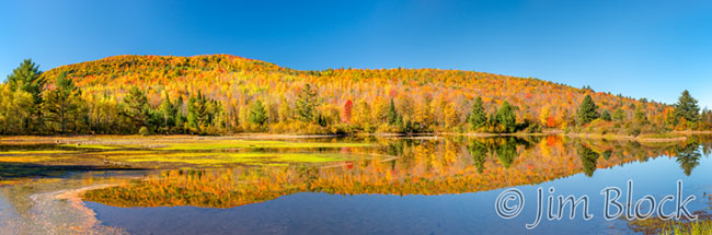 ej707-coffin-pond-crop-1