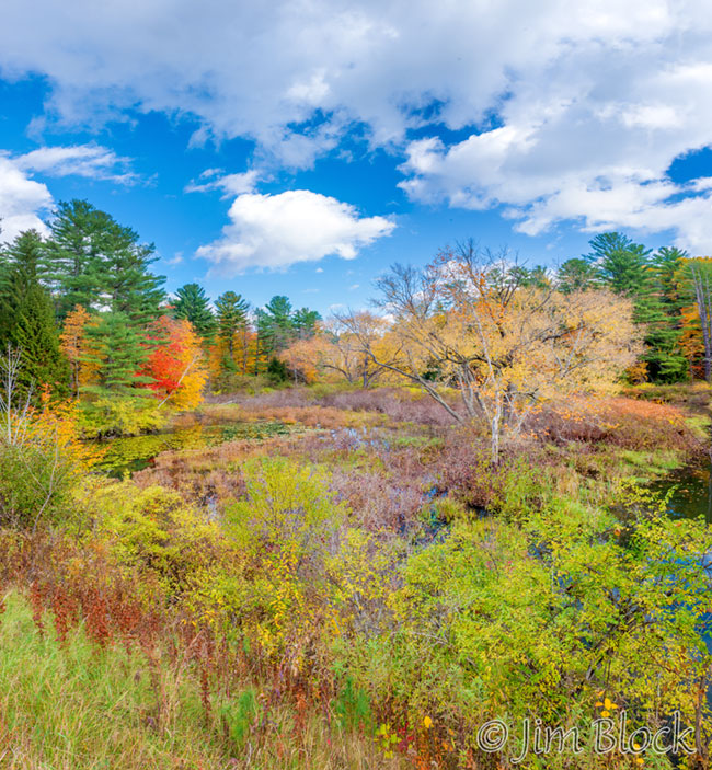 ej821-blow-me-down-area-pan-3