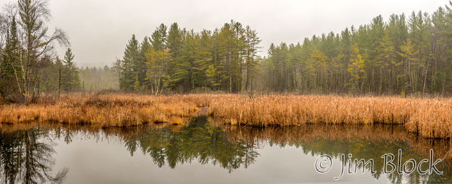 ek061-penniman-wetland-pan-3